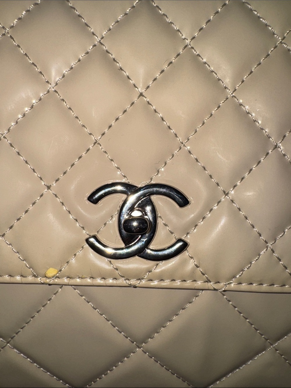 CHANEL Quilted Lambskin Shoulder Bag in Beige with Silver Hardware - Picture 4 of 14